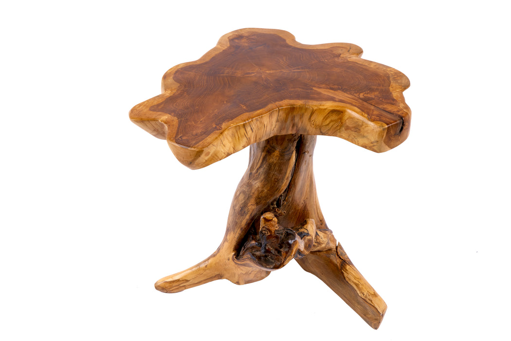 Couchtisch Base Teak