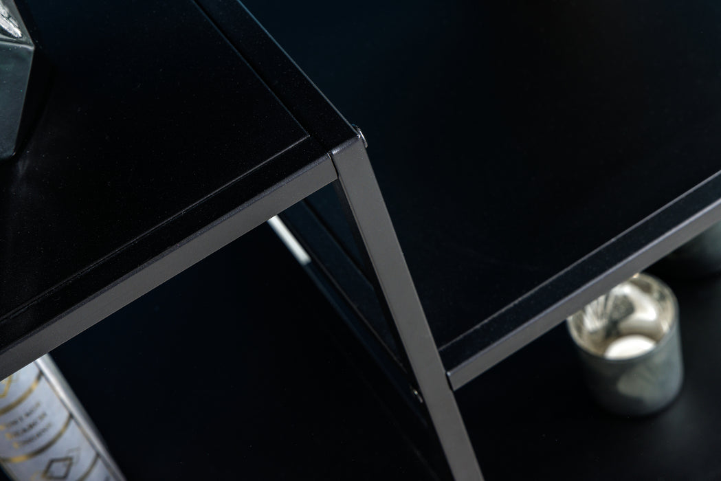 Regal Titanium Pro 80cm schwarz