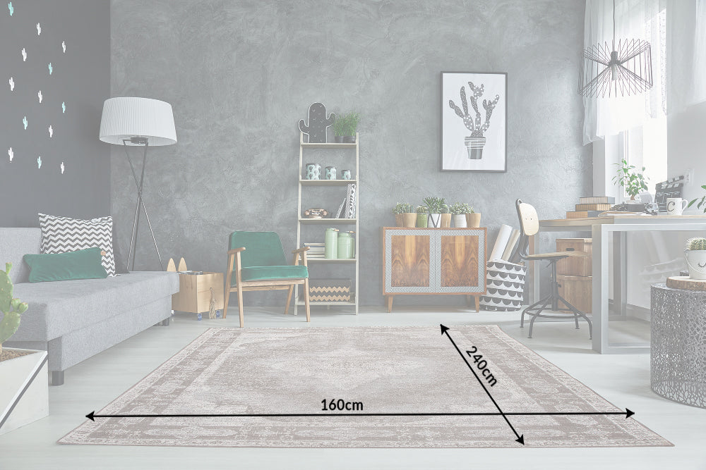 Teppich Louis 240x160cm hellgrau
