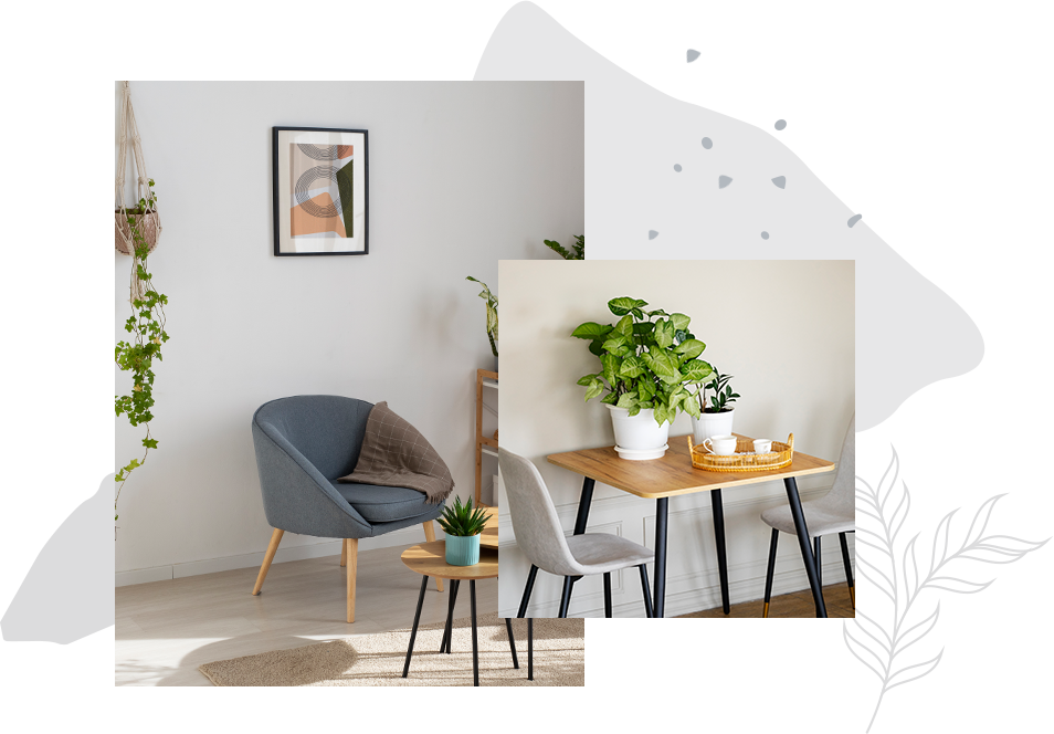 Designs, die Eleganz und Komfort in jede Ecke Ihres Raumes bringen.