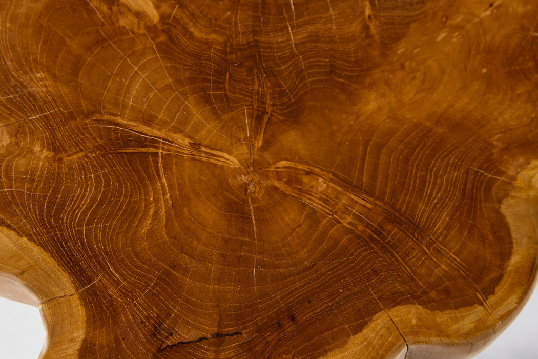 Couchtisch Base Teak