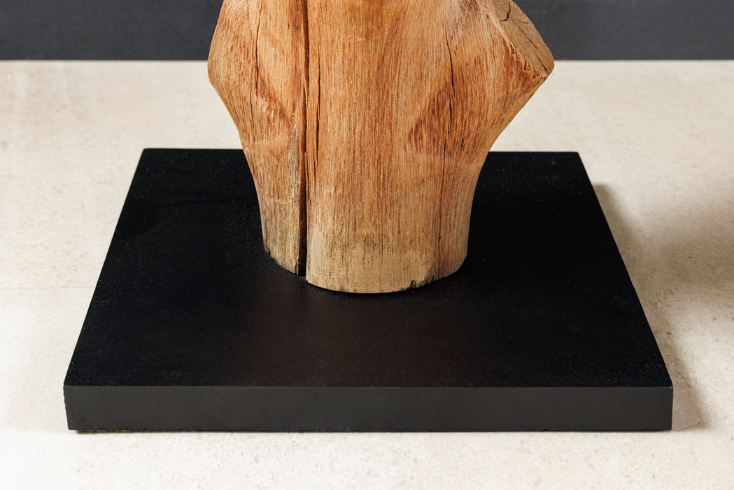 Stehleuchte Stamm Nature 175cm Mangostane